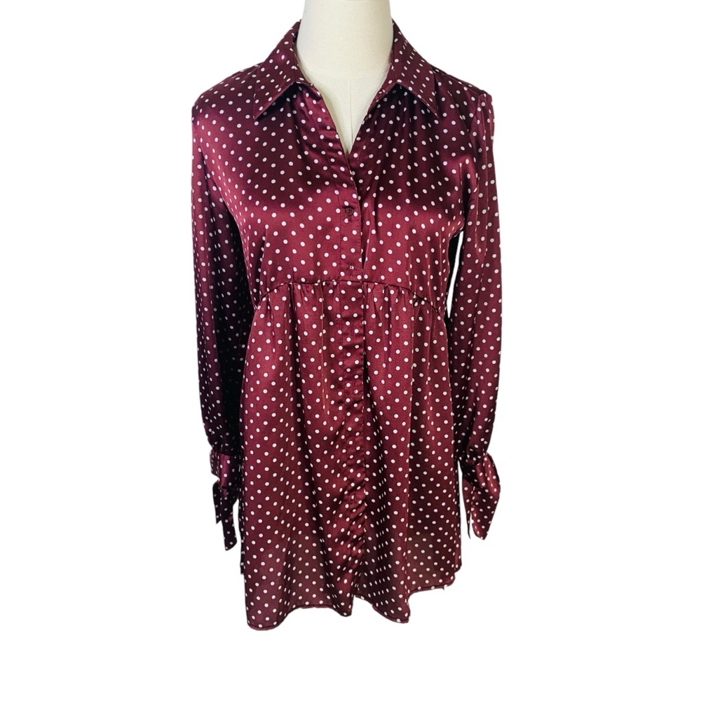 Zara XS burgundy polka dot LS Blouse